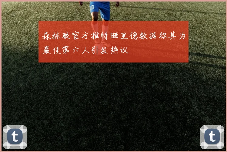 森林狼官方推特晒里德数据称其为最佳第六人引发热议