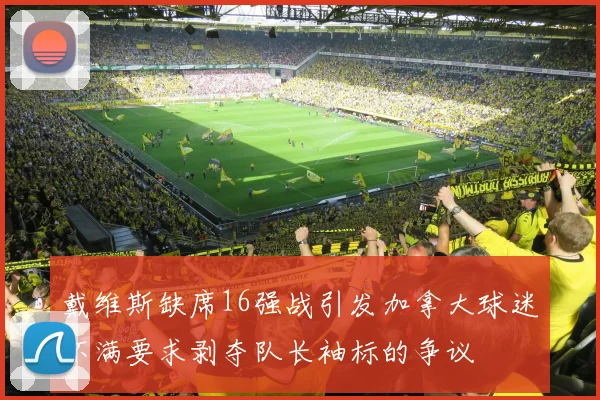 戴维斯缺席16强战引发加拿大球迷不满要求剥夺队长袖标的争议